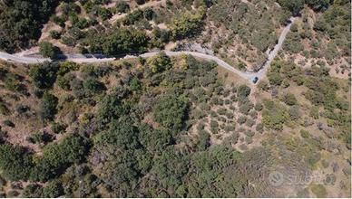 RGE 3/2024 Trib Barcellona PG - LOTTO 2