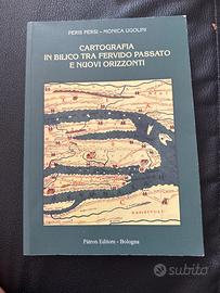 Cartografia in bilico