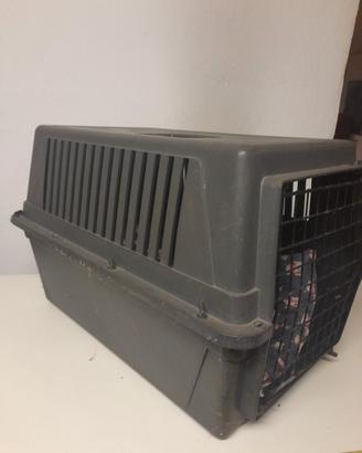 trasportina per animali