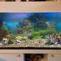 Acquario Ferplast 120x40h55