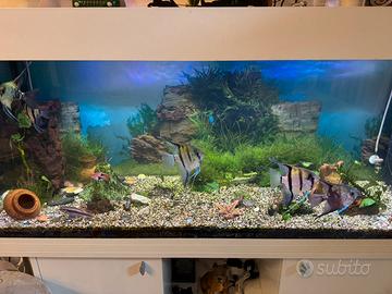 Acquario Ferplast 120x40h55