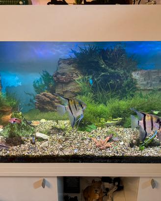 Acquario Ferplast 120x40h55