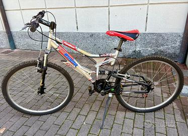BICLETTA BUGNO AMMORTIZZATA