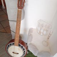 Banjo-chitarra Banjitar