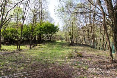 Terreno Agricolo Alta Valle Intelvi