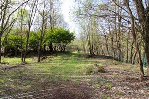 Terreno Agricolo Alta Valle Intelvi