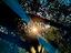 Immagine 17