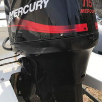 Motore mercury 115 cavalli 2 tempi