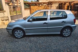 polo volkswagen