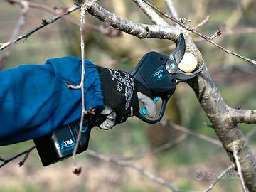 FORBICI CAMPAGNOLA NOVA 40