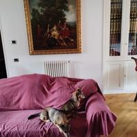 Divani stile barocco più 2 tappeti persiani