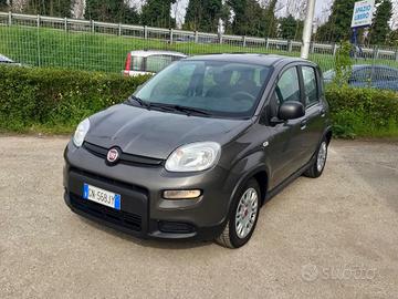 Fiat Panda 5 Posti 1.0 FireFly 70Cv Hybrid City Cr