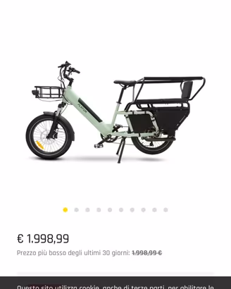 Bici cargo