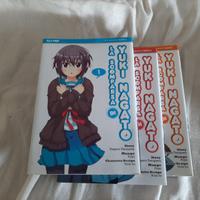 La scomparsa di Yuki Nagato