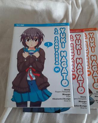 La scomparsa di Yuki Nagato