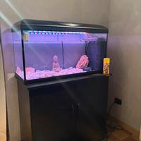 Acquario 100litri leggete la descrizione