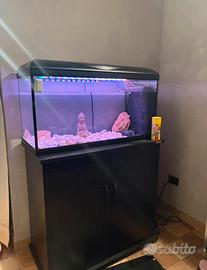 Acquario 100litri leggete la descrizione