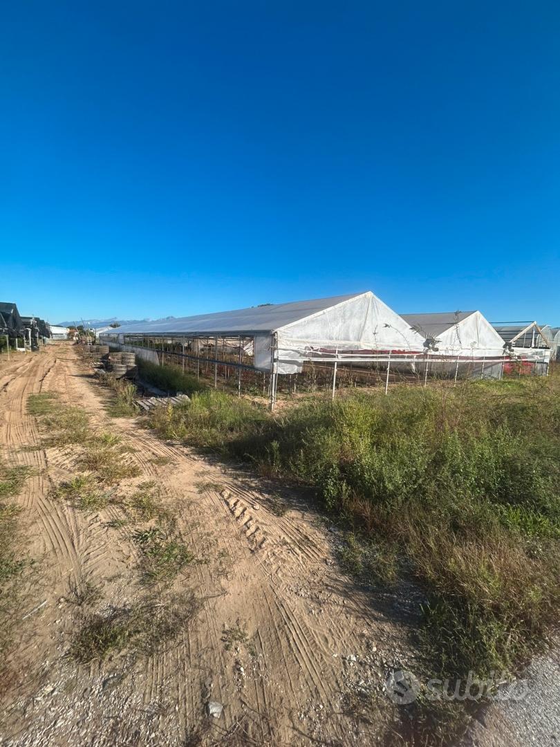 Terreno agricolo - Vista 4