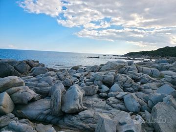 Autista privato e altro,solo persone di ALTO LIVEL