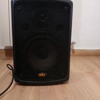cassa amplificata MKC SKFP208A