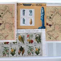 francobolli città del Vaticano 