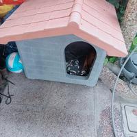 cuccia & letto a castello ikea