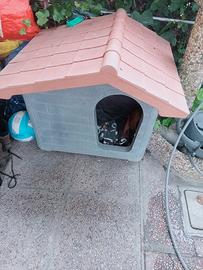 cuccia & letto a castello ikea