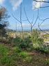 terreno-agricolo-bacoli-cod-rif-3214573vrg-