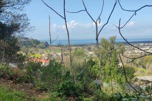 Terreno Agricolo Bacoli [Cod. rif 3214573VRG]