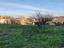 Immagine 11