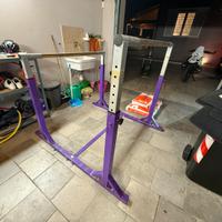 Parallele ginnastica artistica