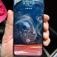 Smartphone Samsung S21  5G  256gb