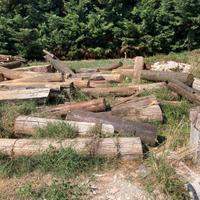 ttavi rovere antiche