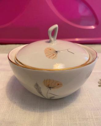 Zuccheriera Chodziez