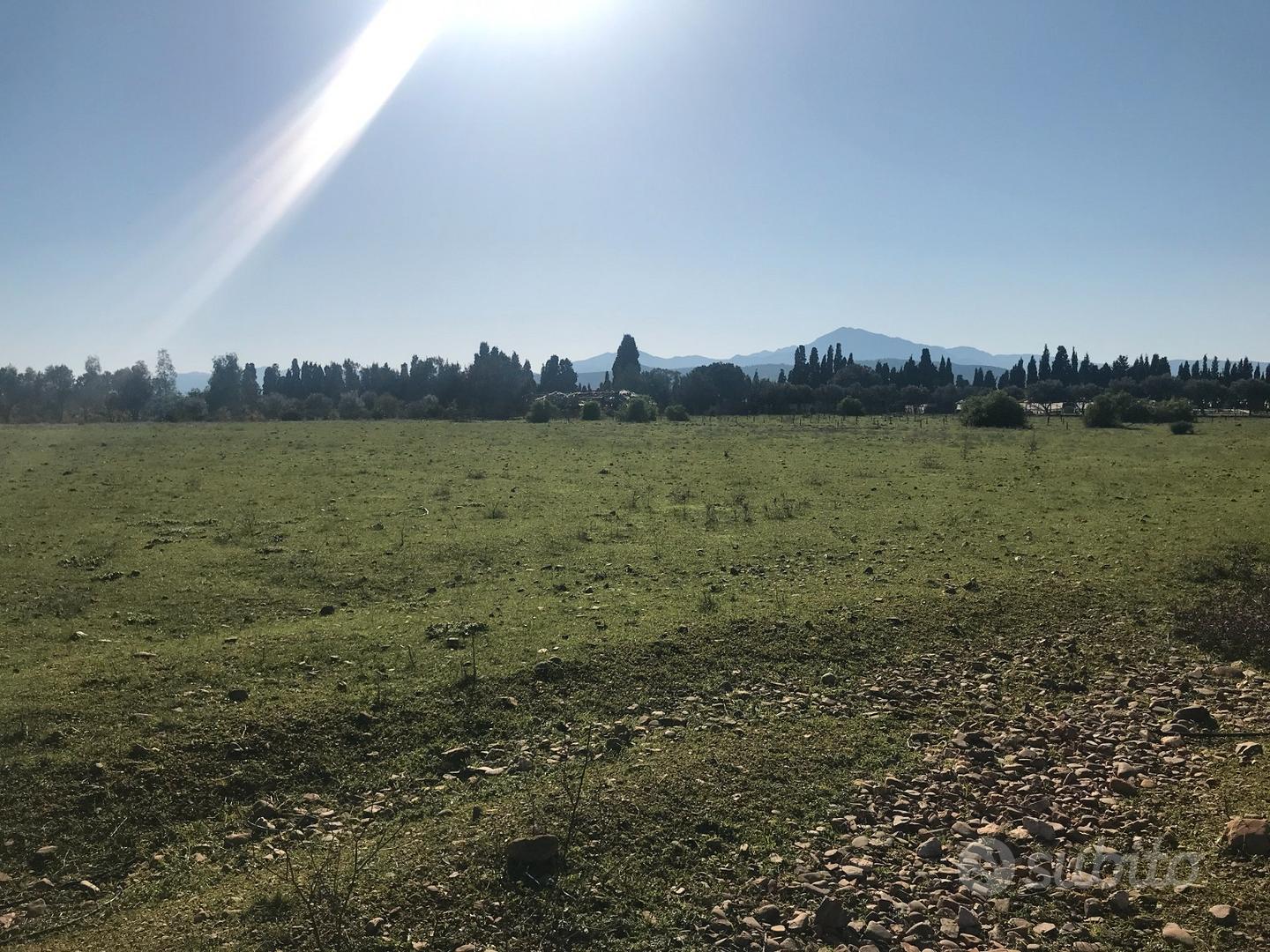 Terreno agricolo di mq 12500 edificabile - Vista 6
