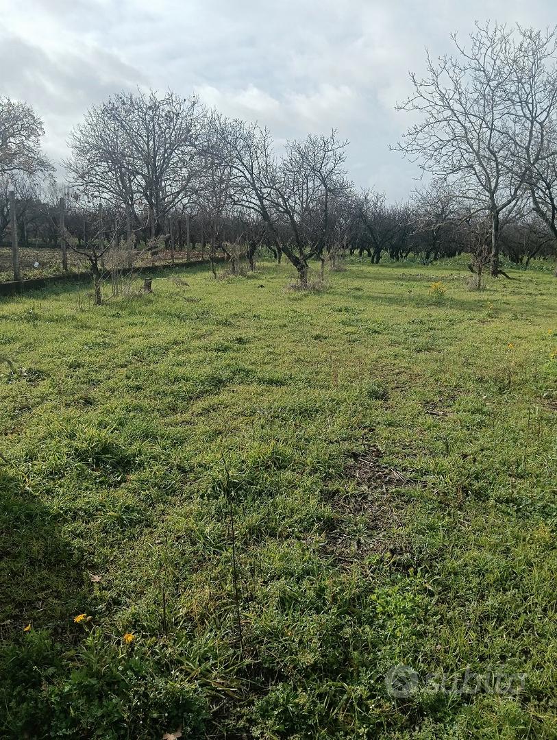 Terreno agricolo - Vista 4