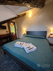 Camere in centro Torino