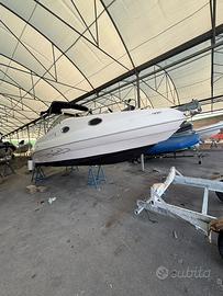 Barca Aquabat Bahia 20