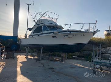 Bertram 35 Fly 10.000 euro