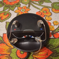 Apparecchio acustico