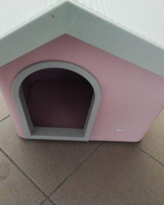 cuccia cane