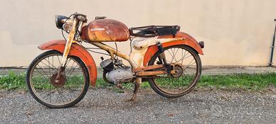 Santamaria tigrotto 50