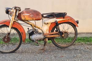 Santamaria tigrotto 50