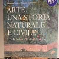 Libro: Arte, una storia naturale e civile