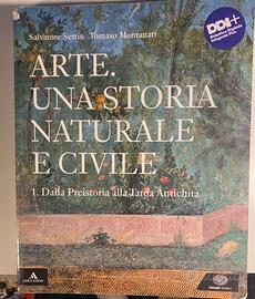 Libro: Arte, una storia naturale e civile