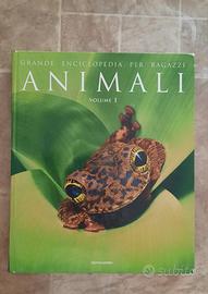 Grande enciclopedia per ragazzi 