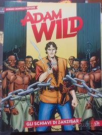 Adam Wild, Saguaro, San Michele