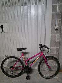 bicicletta 