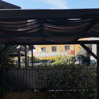 Gazebo in legno di abete 