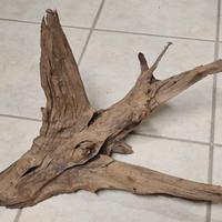 Legno Radice Acquario